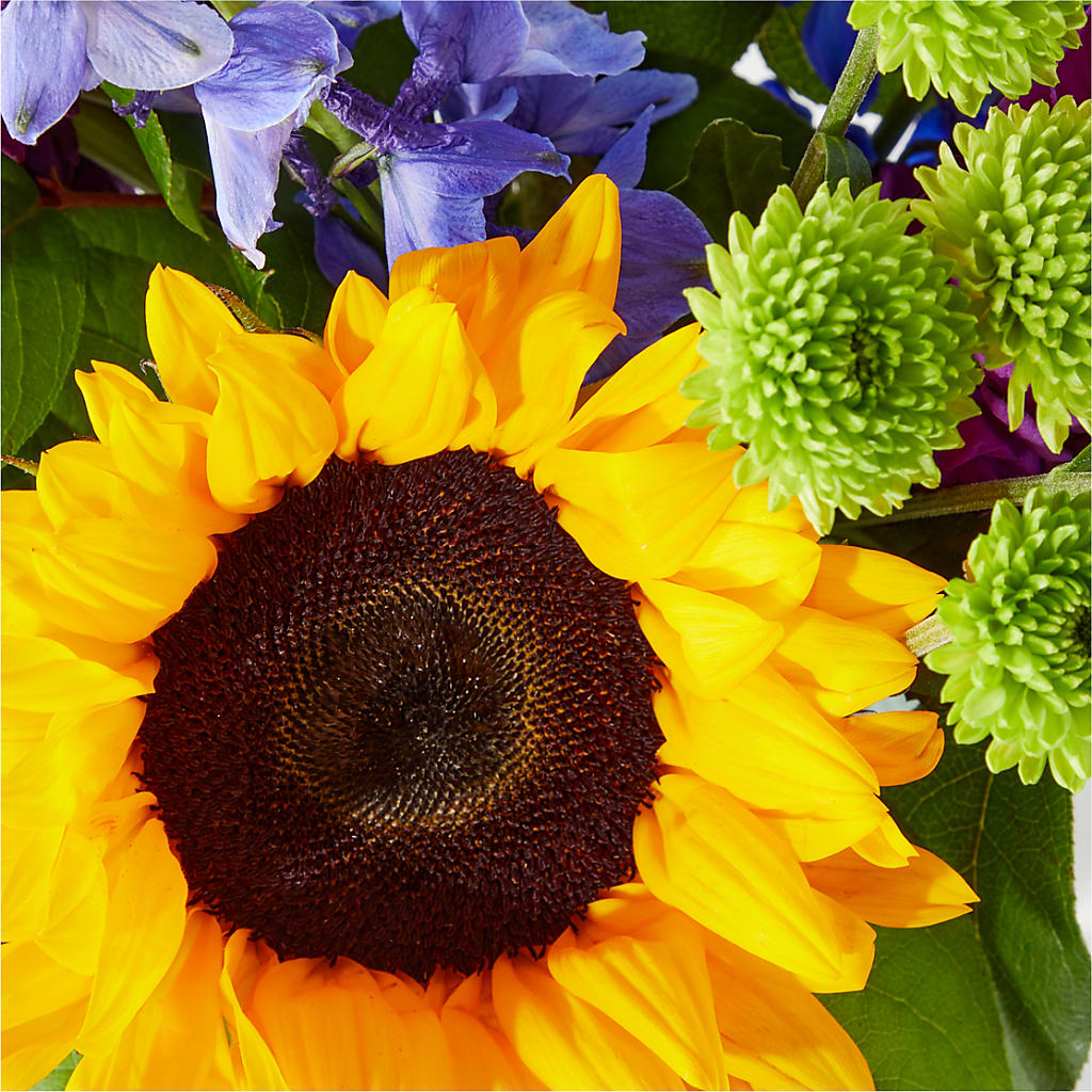 Catching Rays Bouquet – Guilles Flower Shop And Catering, San Jose CA