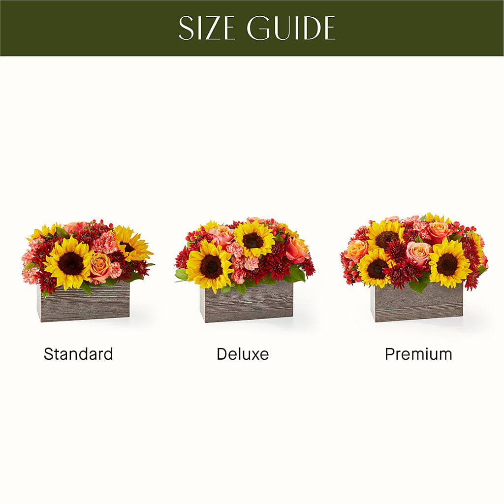 Fresh Cider Bouquet – Guilles Flower Shop And Catering, San Jose CA