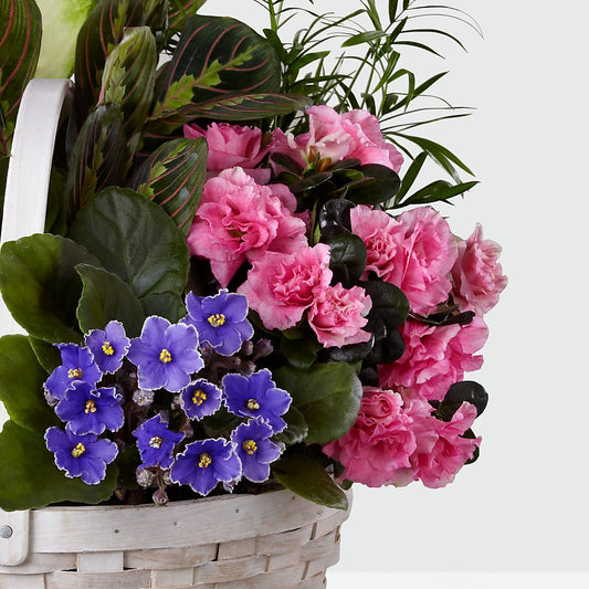 Peaceful Garden Planter – Guilles Flower Shop And Catering, San Jose CA