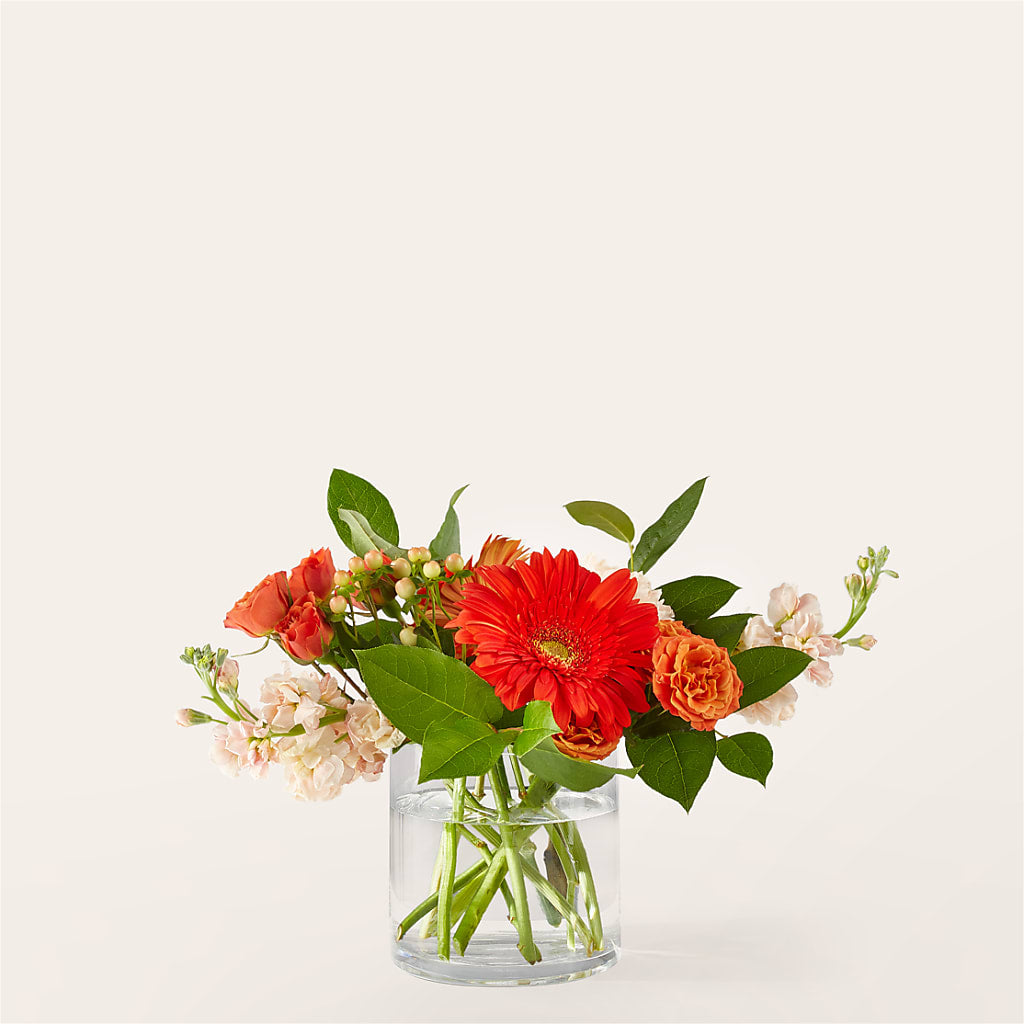 Paloma Please Bouquet – Guilles Flower Shop And Catering, San Jose CA