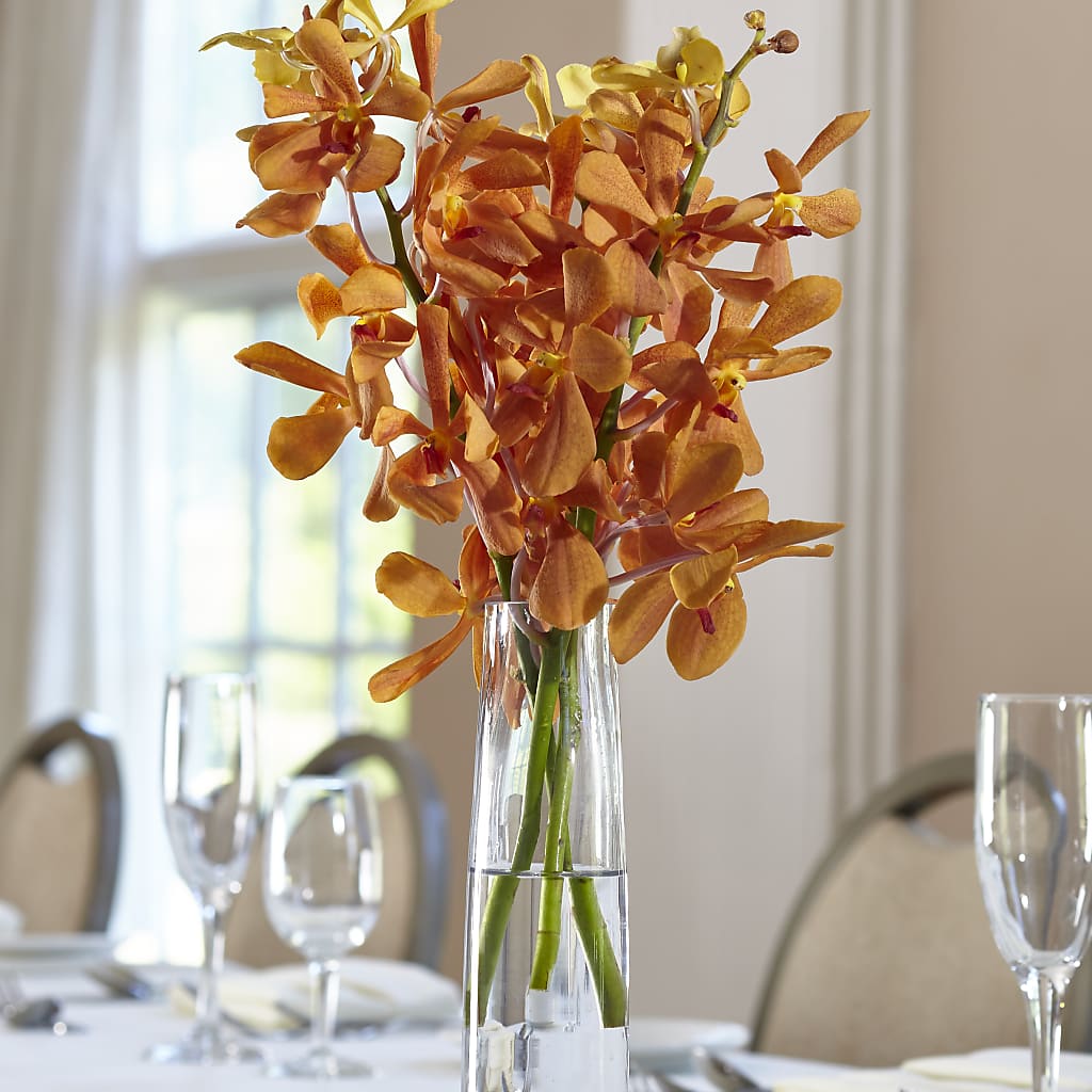 Orange Mokara Bud Vase – Guilles Flower Shop And Catering, San Jose CA