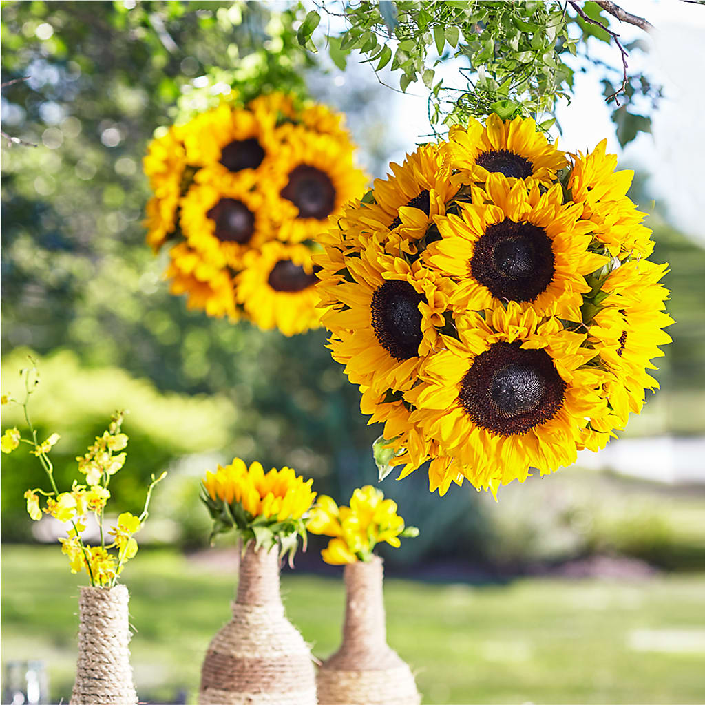 Sublime Garden Hanging Arrangement – Guilles Flower Shop And Catering, San Jose CA