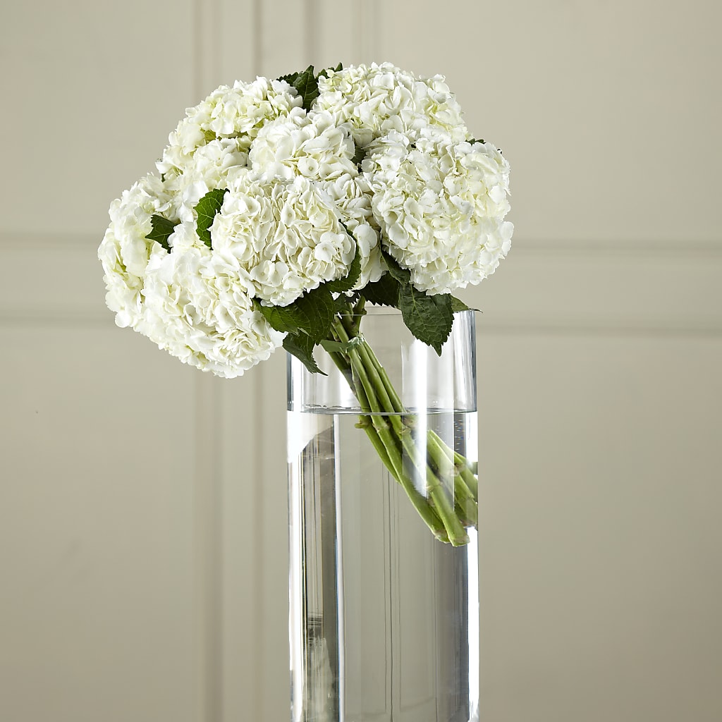 White Hydrangea Hand-Tied Bouquet – Guilles Flower Shop And Catering, San Jose CA