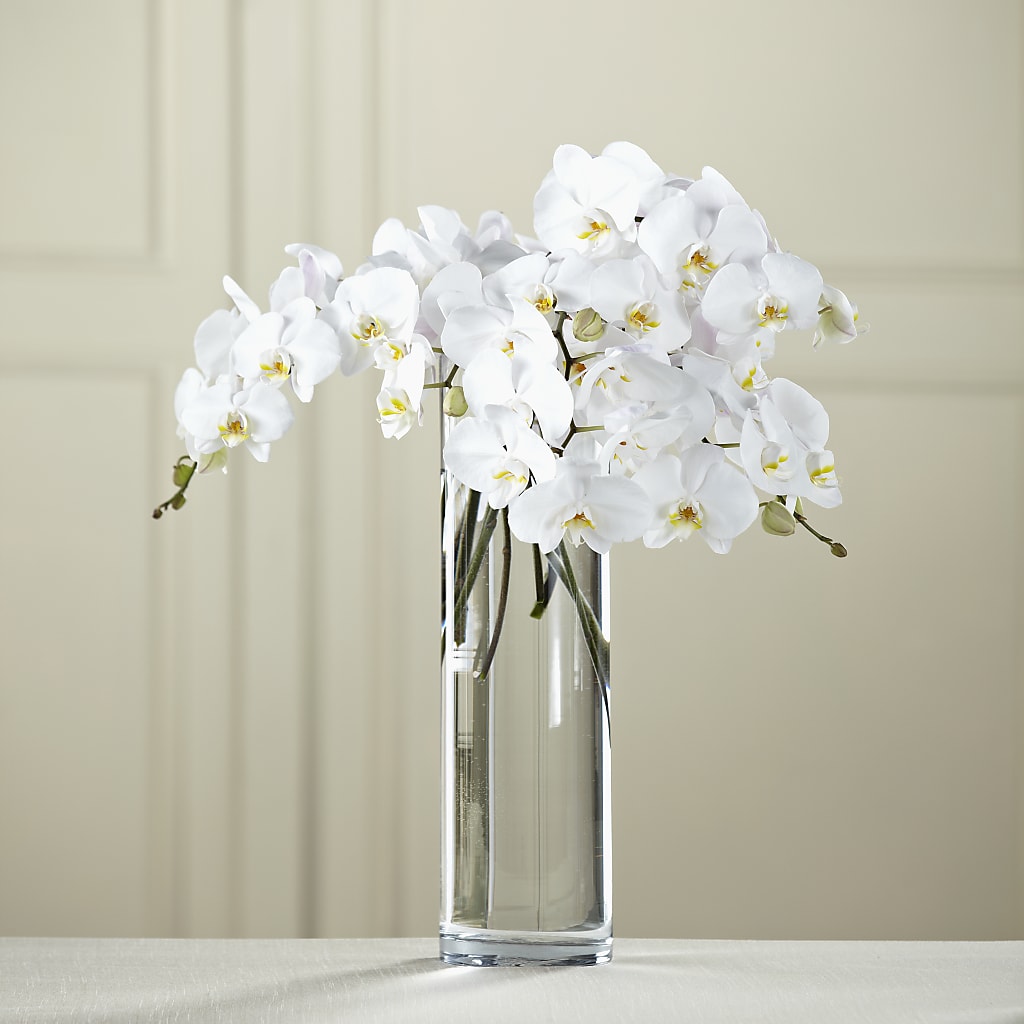White Phalaenopsis Bouquet – Guilles Flower Shop And Catering, San Jose CA