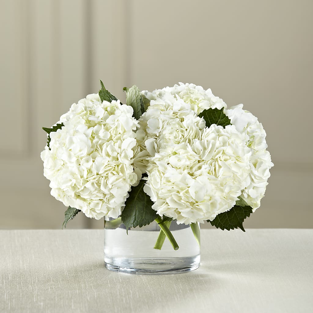 White Hydrangea Bouquet – Guilles Flower Shop And Catering, San Jose CA