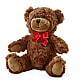 Adorable Plush Bear –  Guilles Flower Shop And Catering, San Jose CA