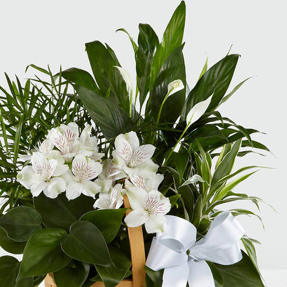 Peace & Serenity Dishgarden –  Guilles Flower Shop And Catering, San Jose CA