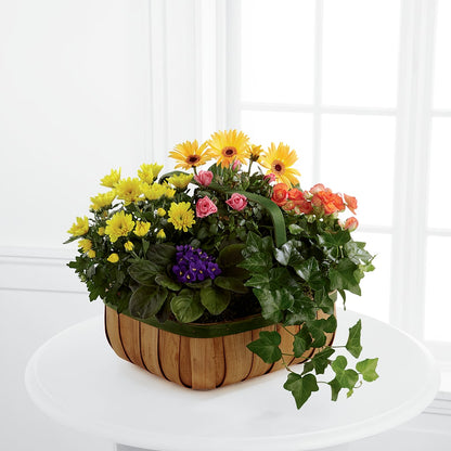 Gentle Blossoms Basket –  Guilles Flower Shop And Catering, San Jose CA