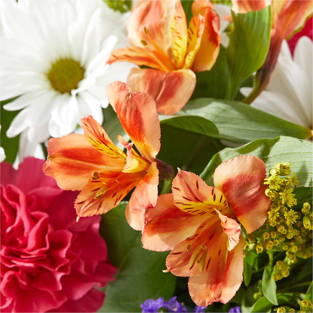 Oopsie Daisy Box Bouquet –  Guilles Flower Shop And Catering, San Jose CA