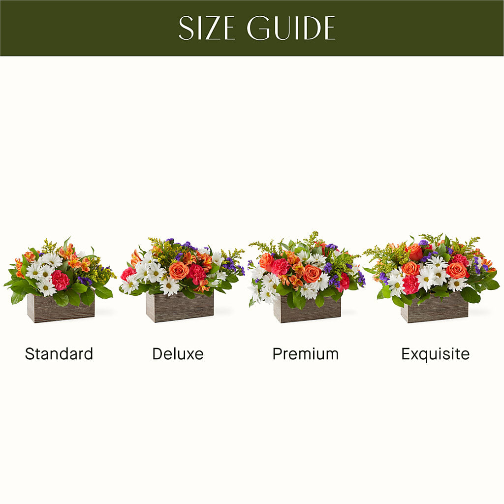 Oopsie Daisy Box Bouquet –  Guilles Flower Shop And Catering, San Jose CA