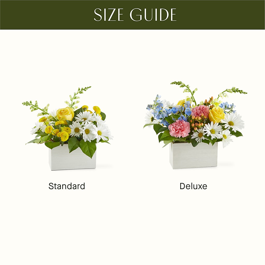 Sun Salutation Box Bouquet –  Guilles Flower Shop And Catering, San Jose CA