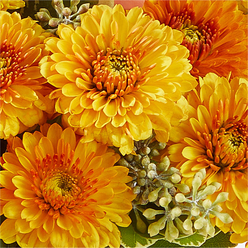Peachy Pumpkin –  Guilles Flower Shop And Catering, San Jose CA