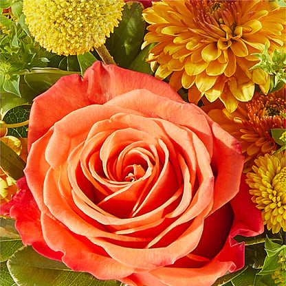 Gourdgeous Pumpkin –  Guilles Flower Shop And Catering, San Jose CA