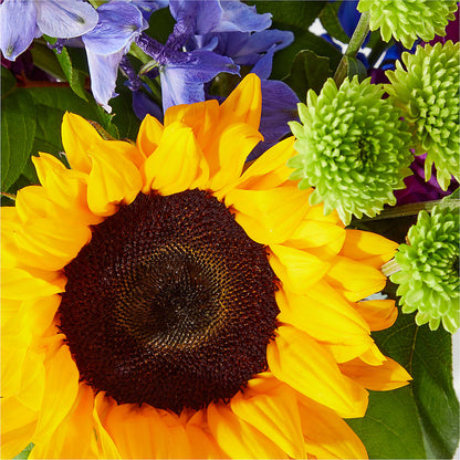 Catching Rays Bouquet –  Guilles Flower Shop And Catering, San Jose CA
