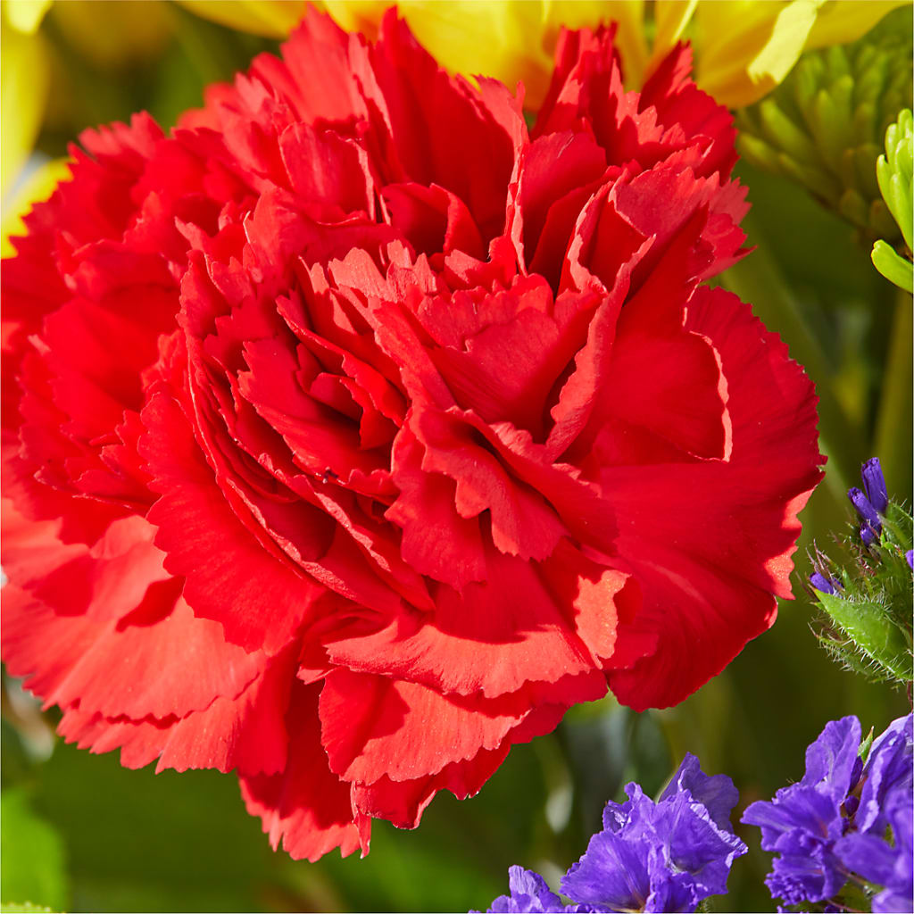 Brighter Days Bouquet –  Guilles Flower Shop And Catering, San Jose CA