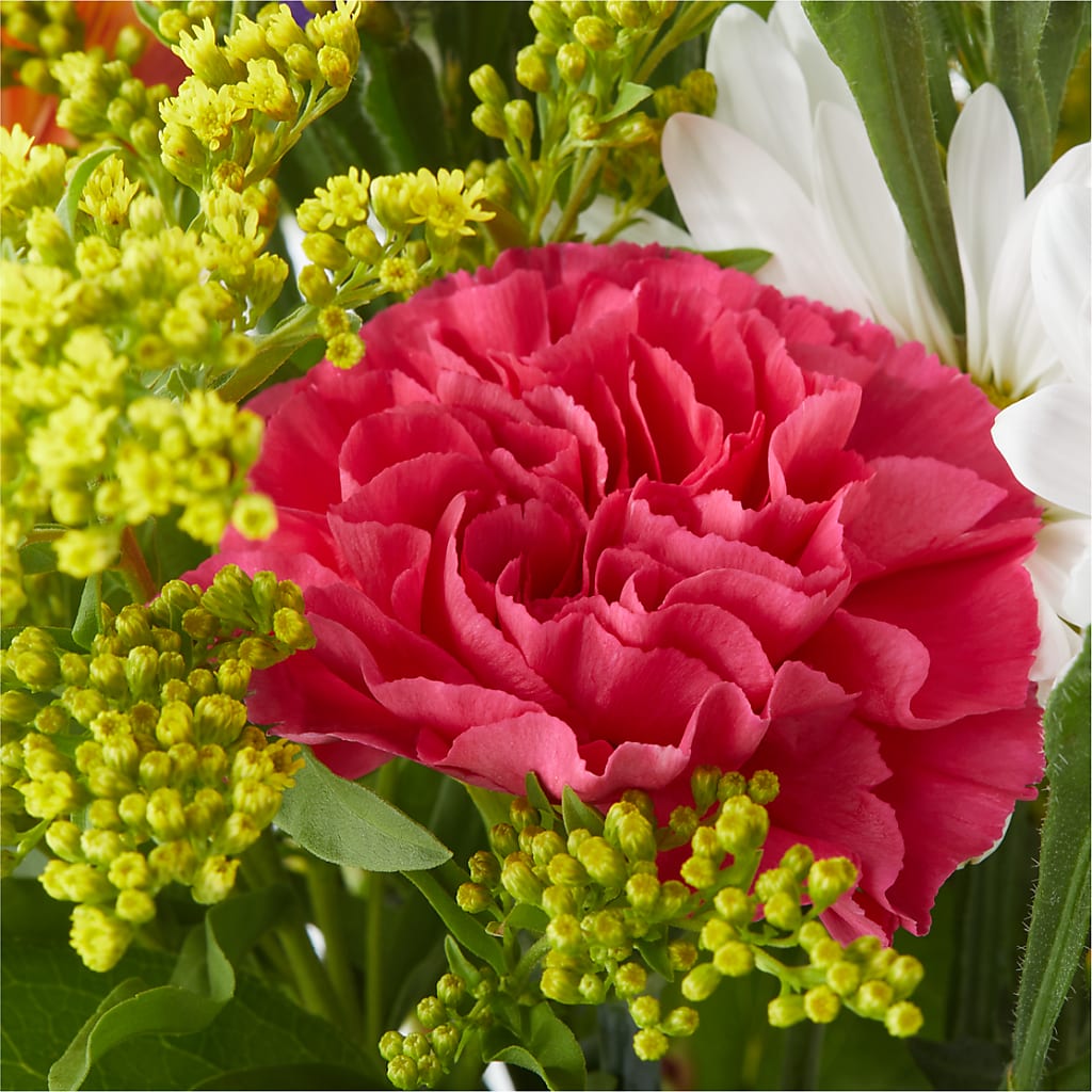 Oopsie Daisy Bouquet –  Guilles Flower Shop And Catering, San Jose CA