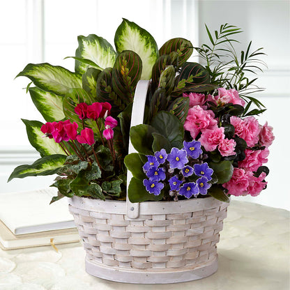 Peaceful Garden Planter –  Guilles Flower Shop And Catering, San Jose CA