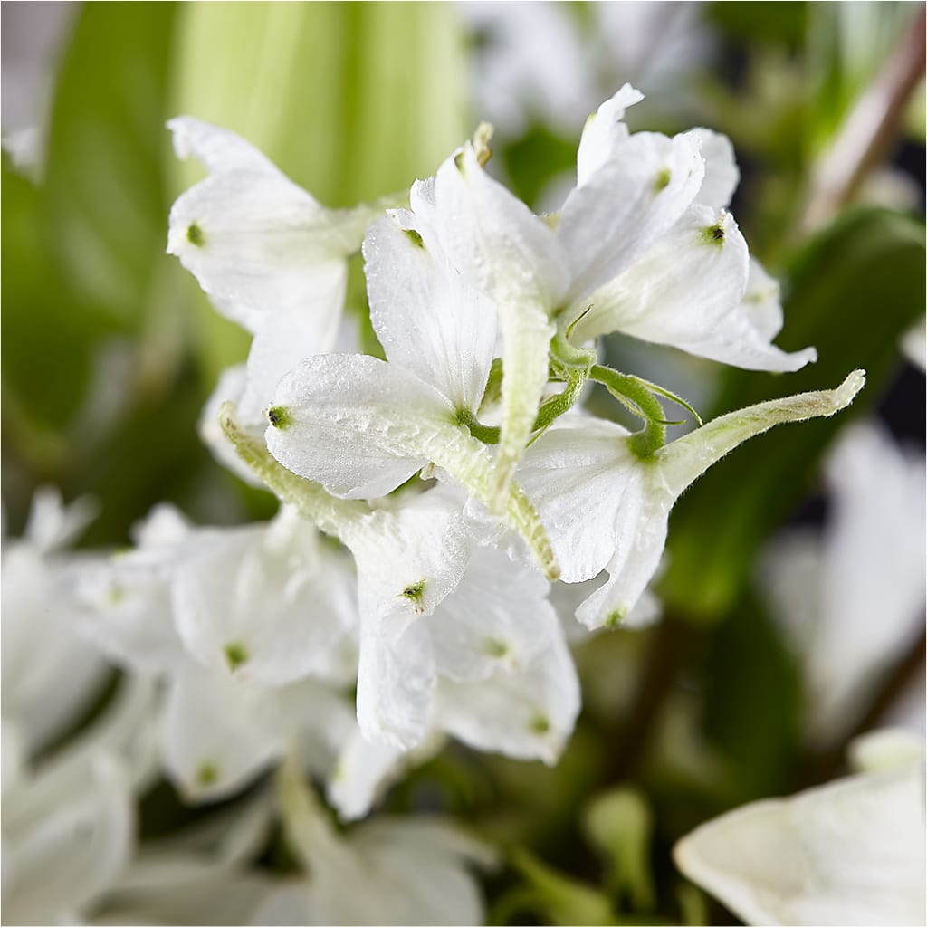 Classic Ivory – A Florist Original –  Guilles Flower Shop And Catering, San Jose CA