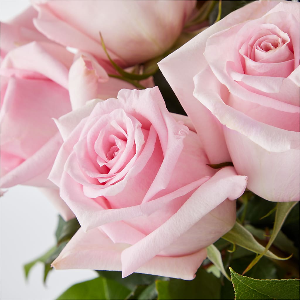 Picture Perfect Pink Rose Bouquet –  Guilles Flower Shop And Catering, San Jose CA