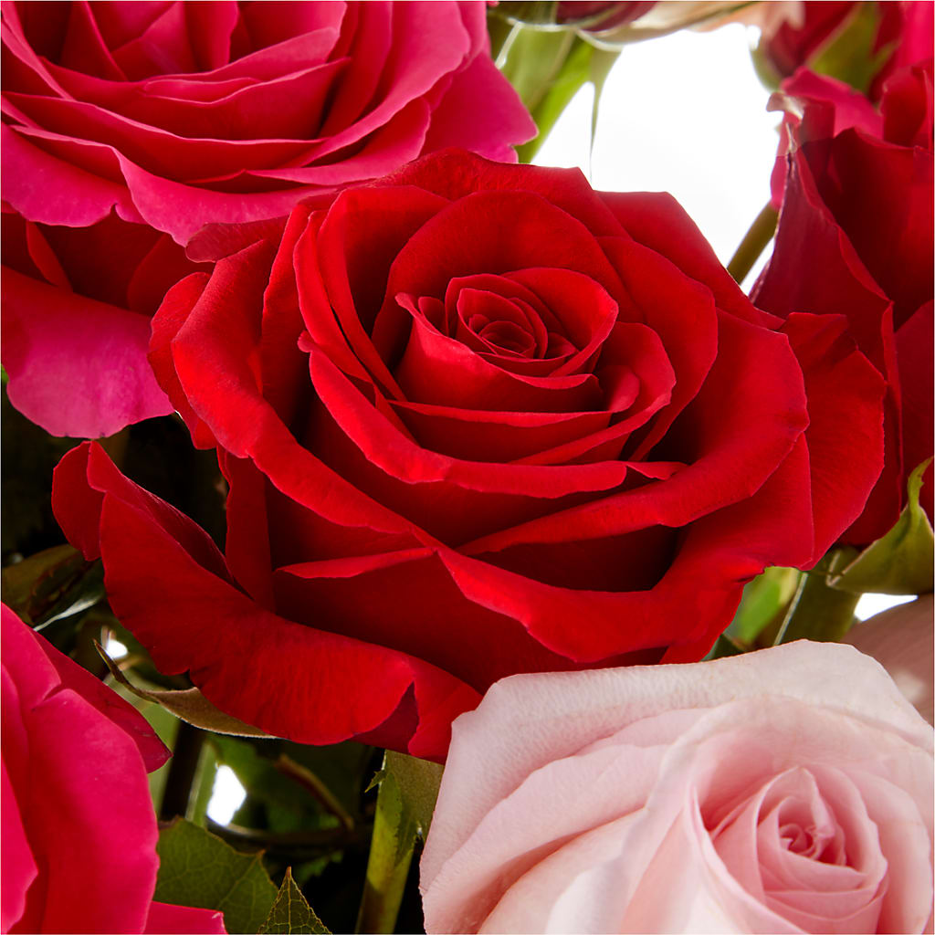 Love Notes Rose Bouquet –  Guilles Flower Shop And Catering, San Jose CA