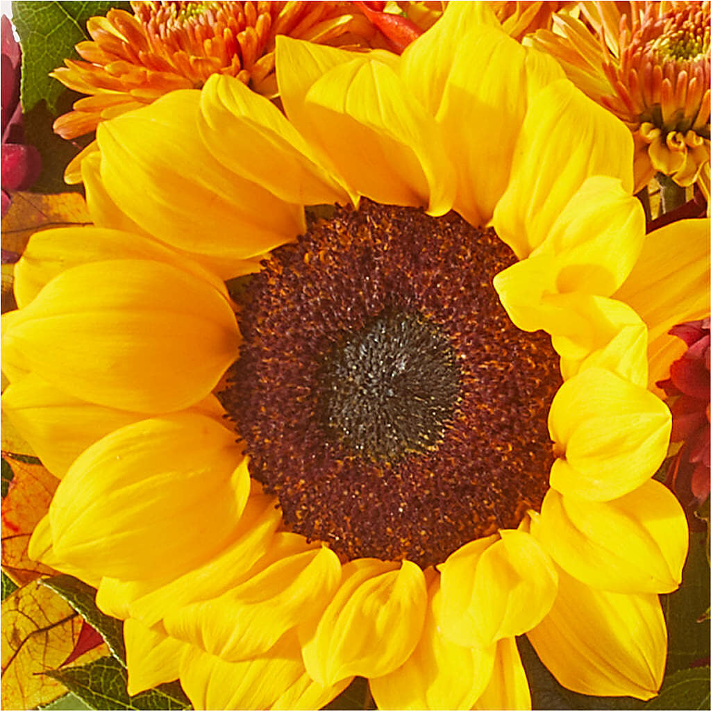 Sunny Side Bouquet –  Guilles Flower Shop And Catering, San Jose CA