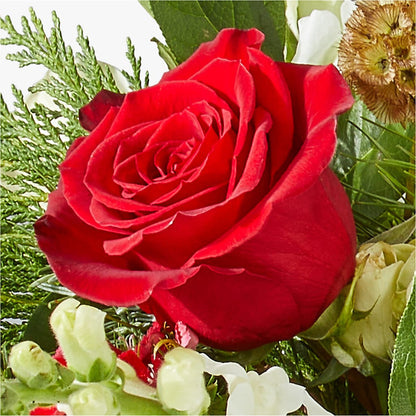 Deck the Halls Bouquet –  Guilles Flower Shop And Catering, San Jose CA
