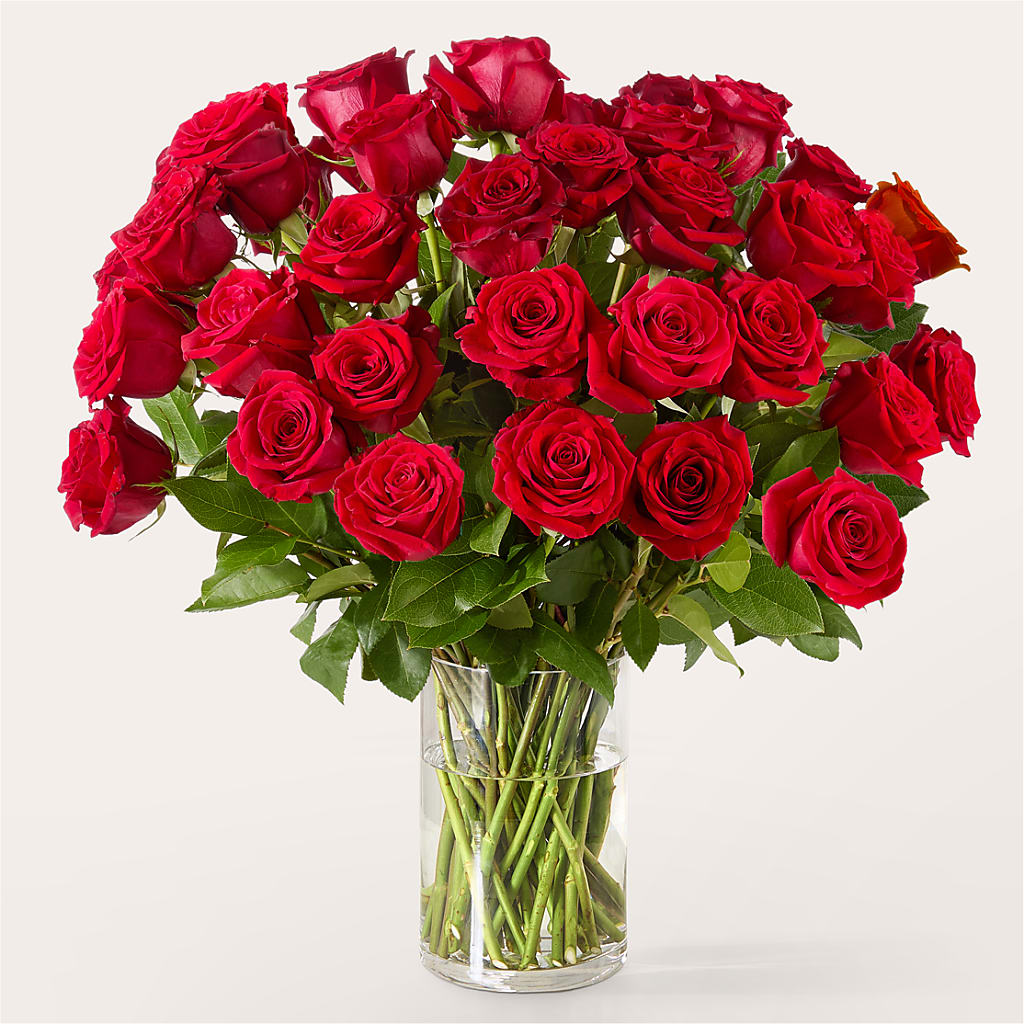 The One Red Rose Bouquet –  Guilles Flower Shop And Catering, San Jose CA