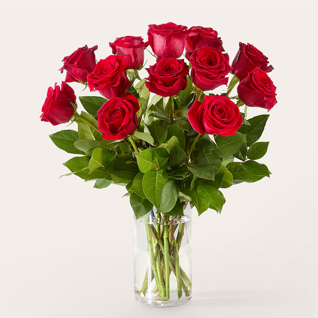 The One Red Rose Bouquet –  Guilles Flower Shop And Catering, San Jose CA