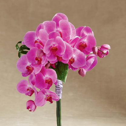 Glorious Bouquet –  Guilles Flower Shop And Catering, San Jose CA