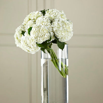 White Hydrangea Hand-Tied Bouquet –  Guilles Flower Shop And Catering, San Jose CA