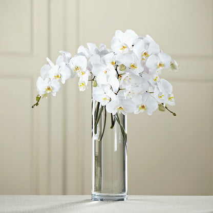 White Phalaenopsis Bouquet –  Guilles Flower Shop And Catering, San Jose CA